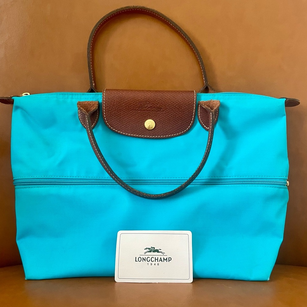 Teal and brown custom expandable Longchamp bag